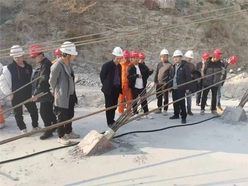 file0003.jpg file0003.jpg